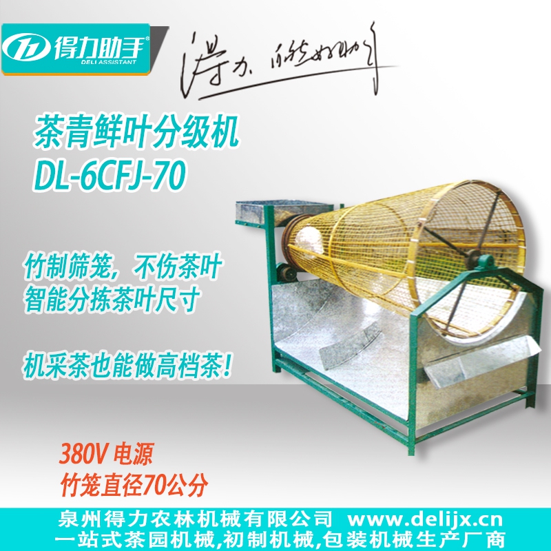 DL-6CFJ-70型茶青鲜叶分级机
